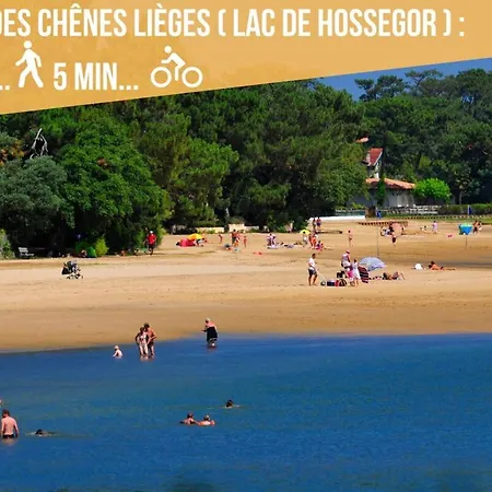 Apartamento Hossegor - Vue Océan - Couple - Surf -